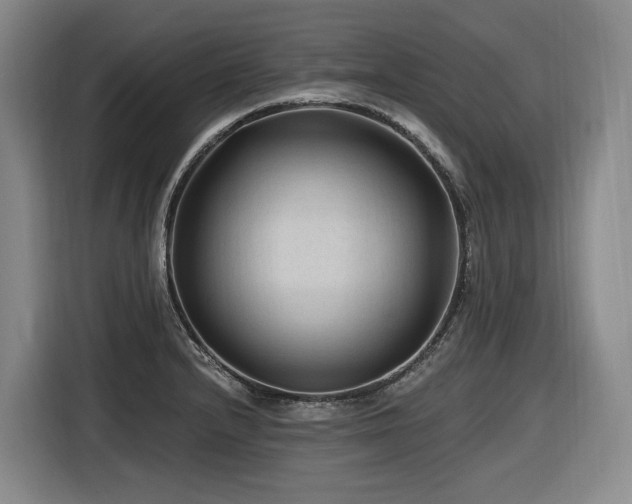 X0000116611232200912111127