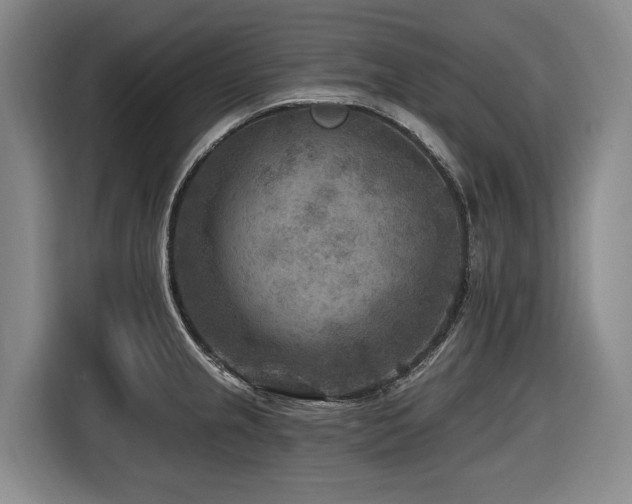 X0000116611237200912111127