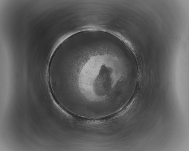 X0000116611239200912111128