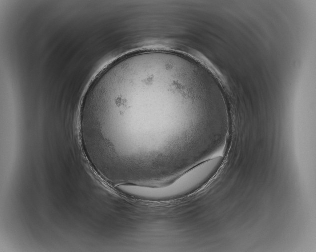 X0000116611240200912111128