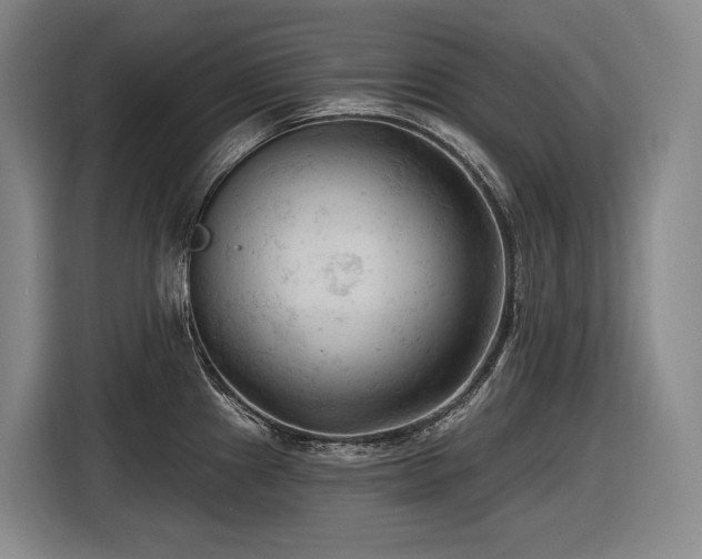 X0000116611241200912111128