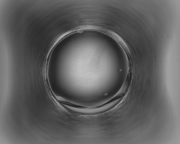 X0000116611244200912111128