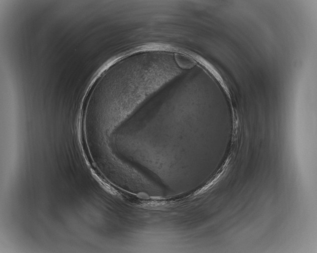 X0000116611245200912111128