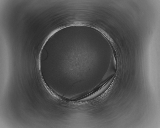 X0000116611246200912111128