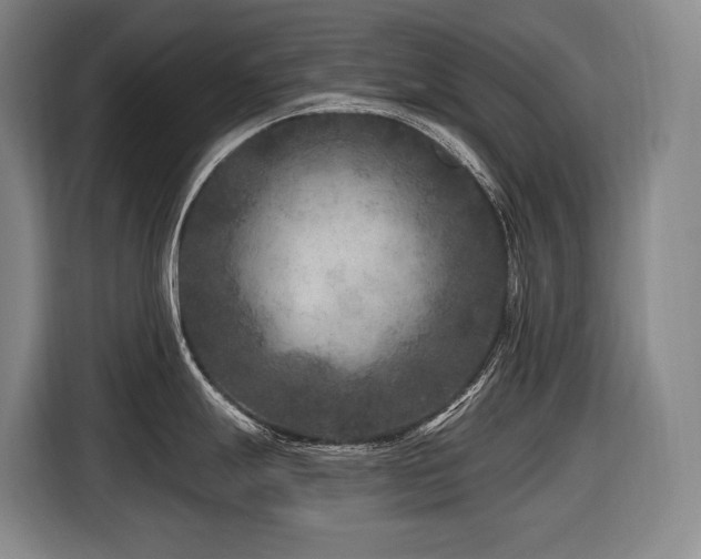 X0000116611247200912111128