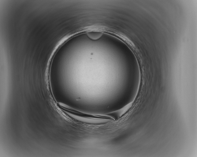 X0000116611248200912111128