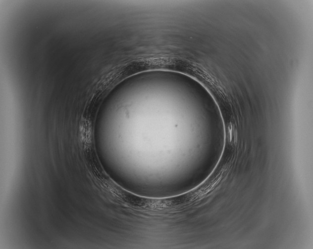 X0000116611251200912111127