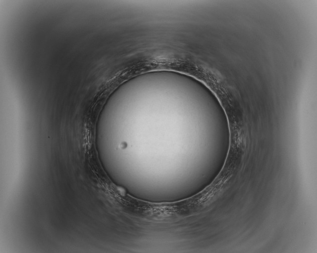 X0000116611253200912111127