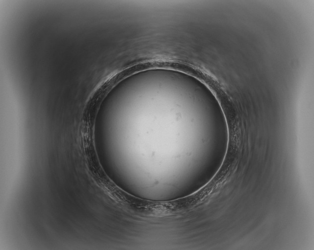 X0000116611255200912111127