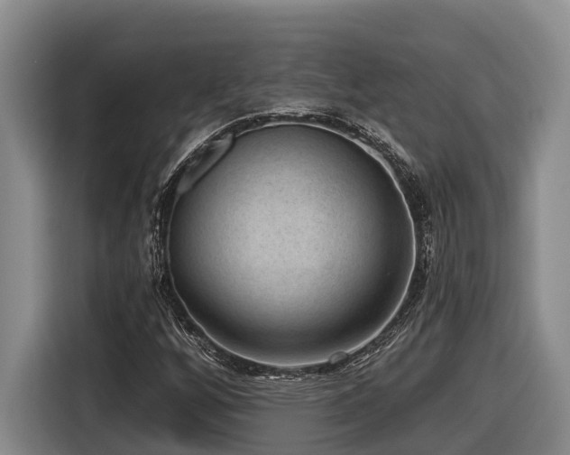 X0000116611256200912111127