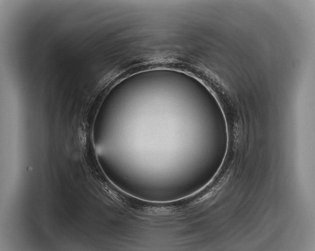 X0000116611257200912111127