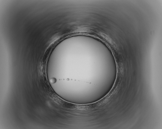 X0000116611258200912111127