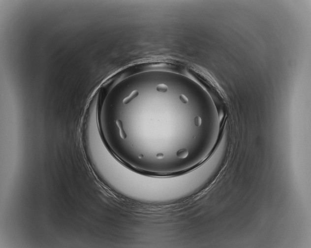 X0000116611260200912111127