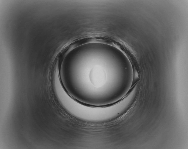 X0000116611261200912111127