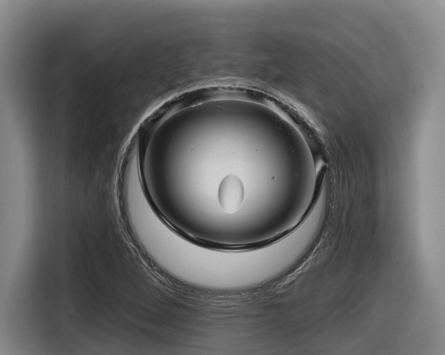 X0000116611264200912111127
