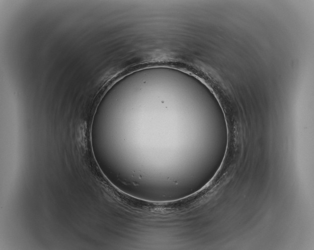 X0000116611265200912111127