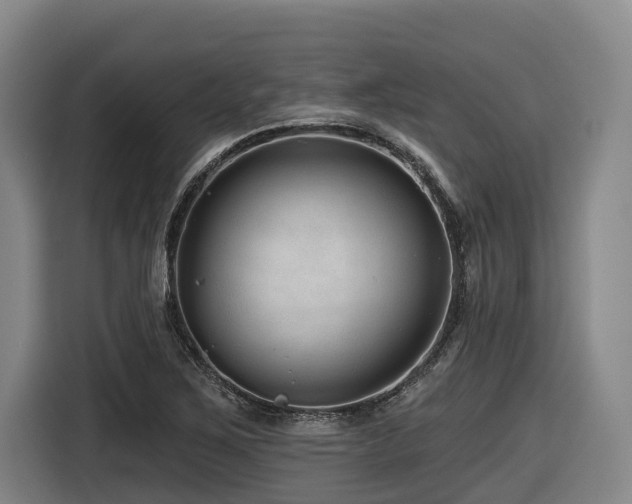 X0000116611267200912111127