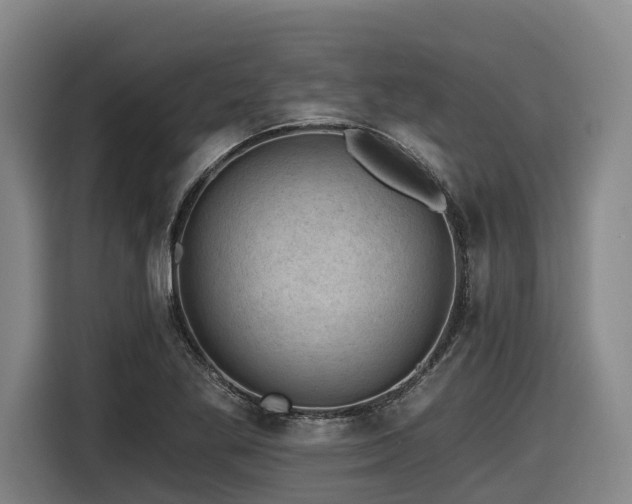 X0000116611269200912111127