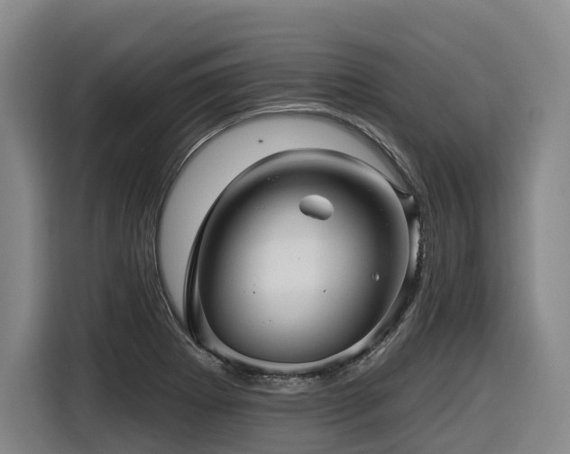 X0000116611273200912111127