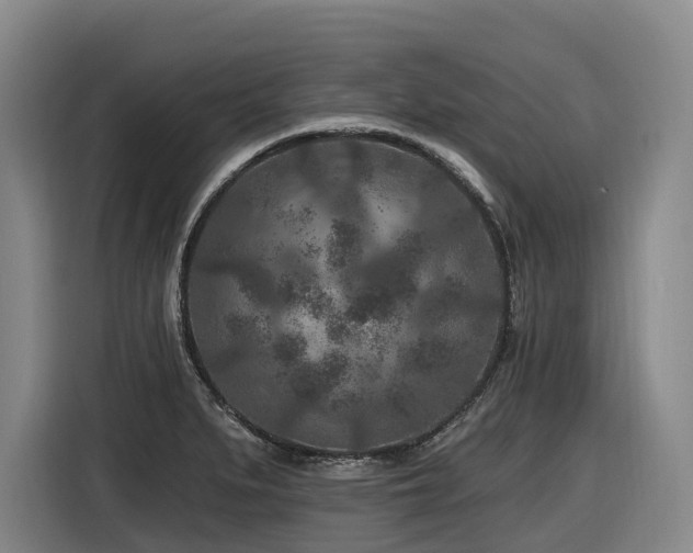 X0000116611279200912111127