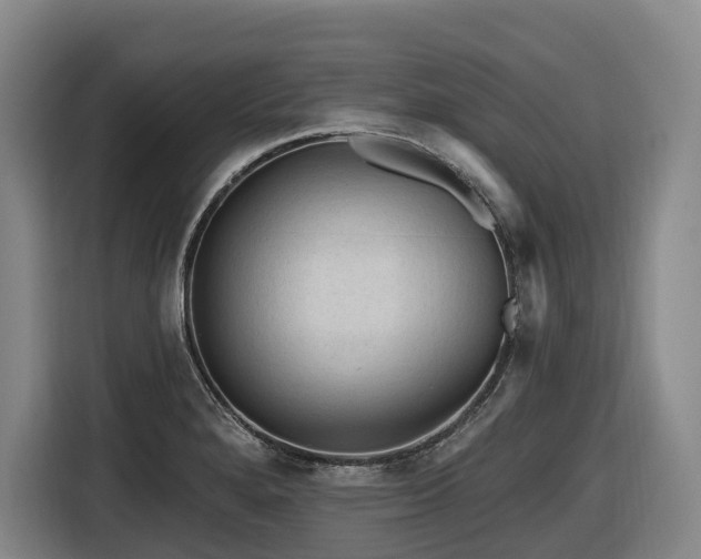 X0000116611280200912111127
