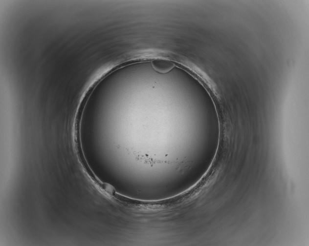 X0000116611285200912111127