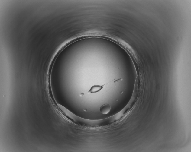 X0000116611288200912111127