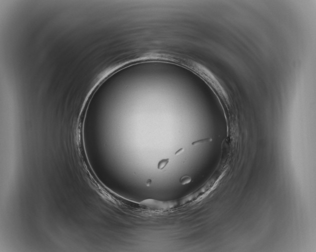X0000116611292200912111126