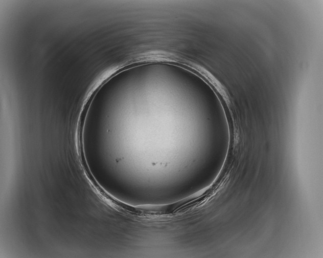 X0000116611293200912111126