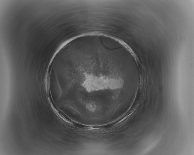 X0000116611295200912111126