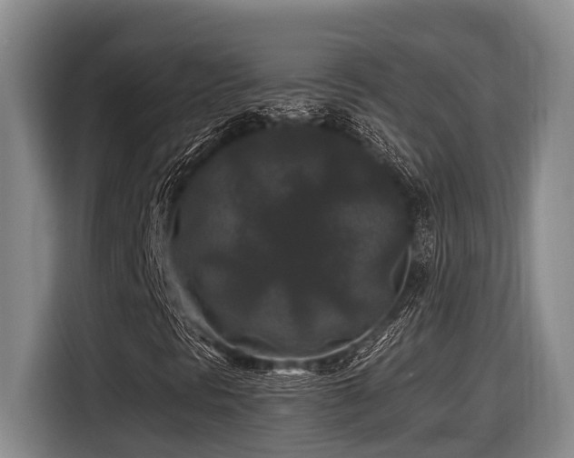 X0000116611297200912111126
