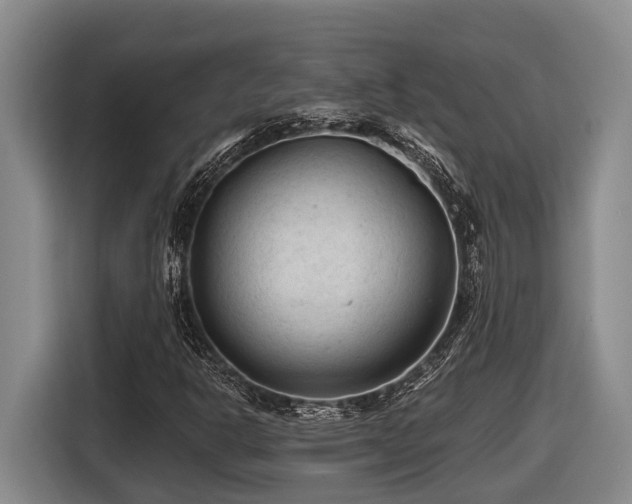 X0000116611302200912111126