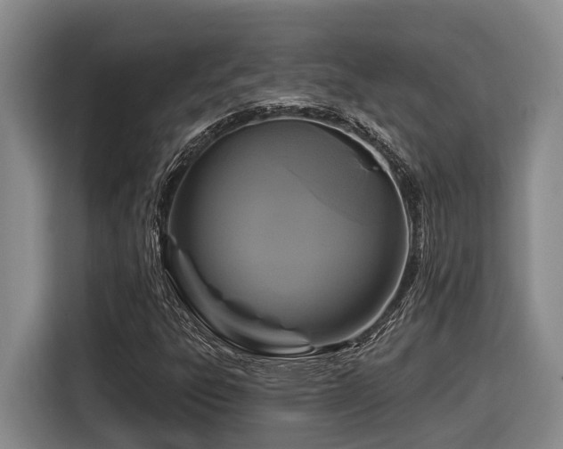 X0000116611303200912111126