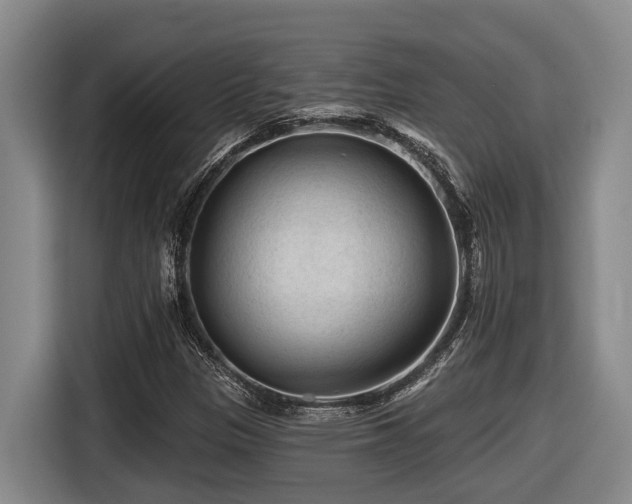 X0000116611305200912111126
