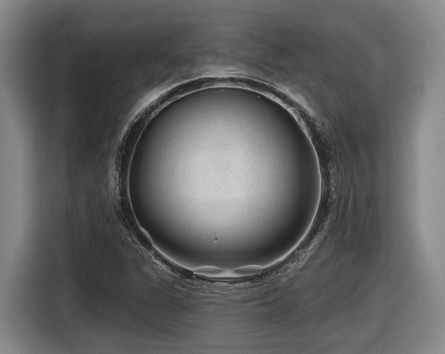 X0000116611311200912111126