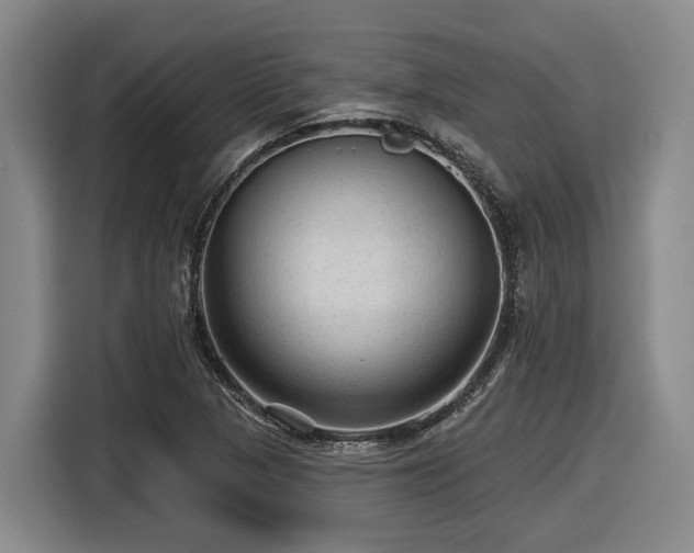 X0000116611313200912111126