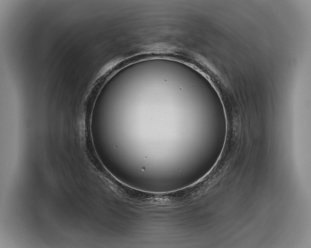X0000116611315200912111126