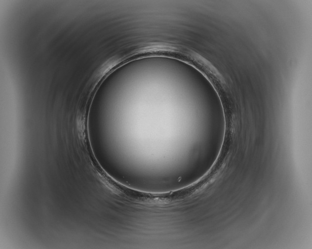 X0000116611321200912111126