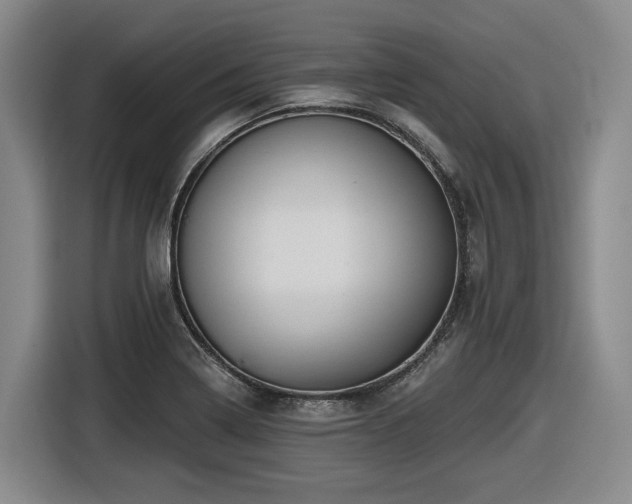X0000116611322200912111126