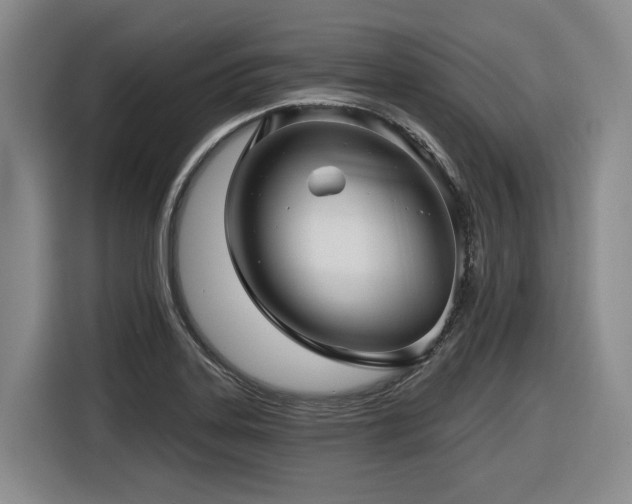 X0000116611323200912111126