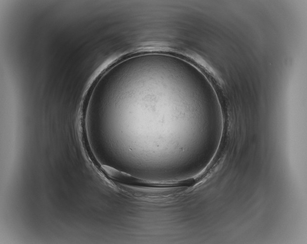 X0000116611325200912111126