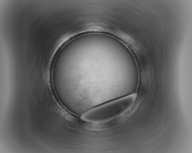 X0000116611326200912111126
