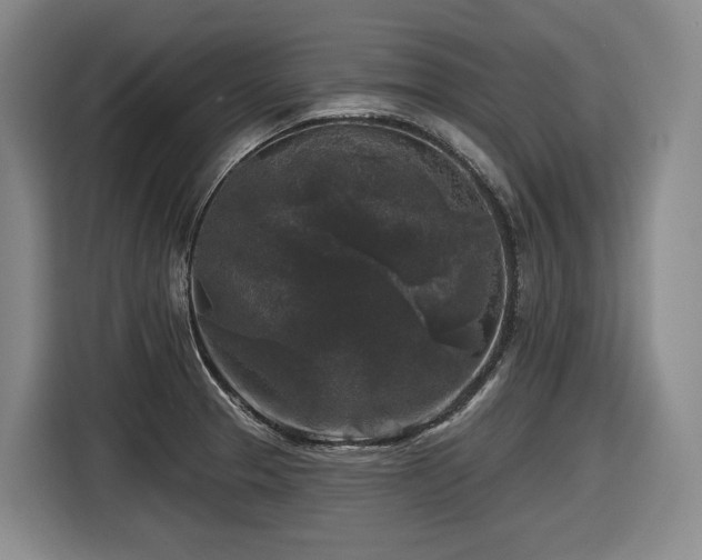 X0000116611329200912111126