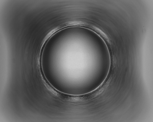X0000116611330200912111126