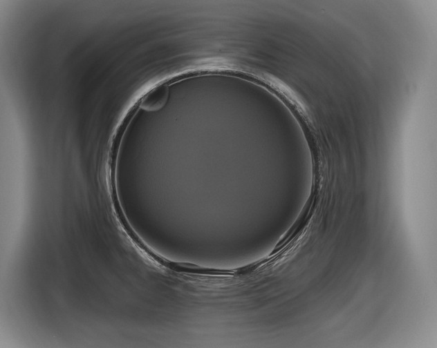 X0000116611334200912111126
