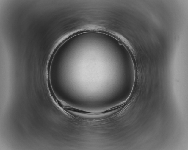 X0000116611335200912111126