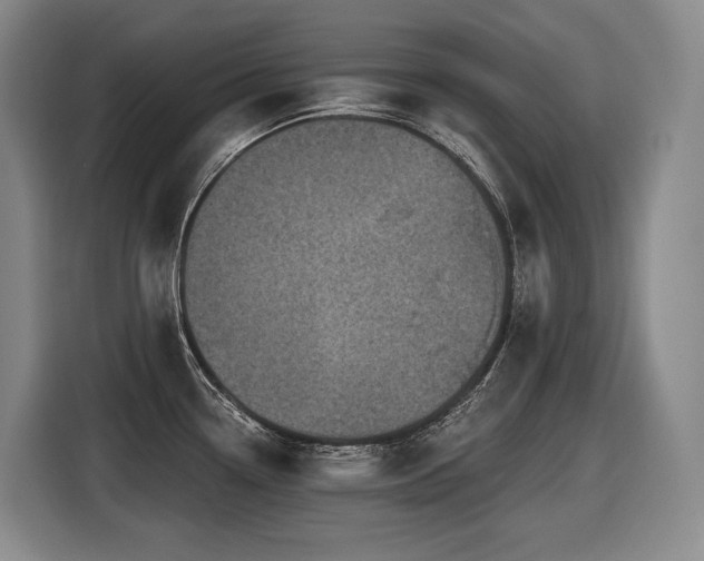 X0000116611338200912111126