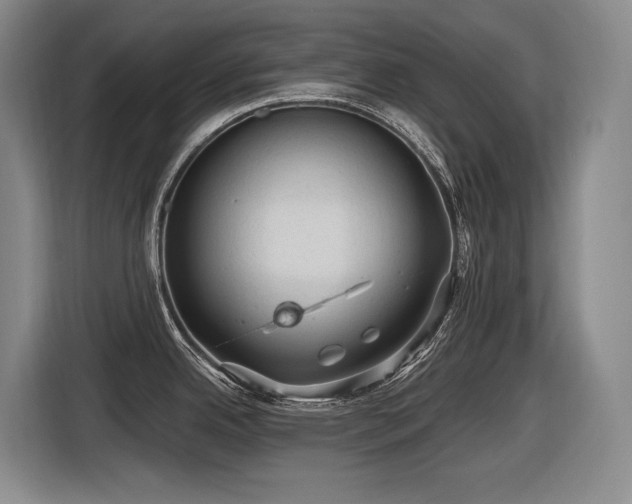 X0000116611342200912111126