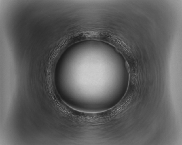X0000116611345200912111126