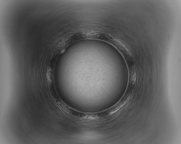 X0000116611346200912111126